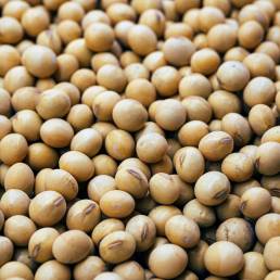 Photo by Daniela Paola Alchapar on Unsplash