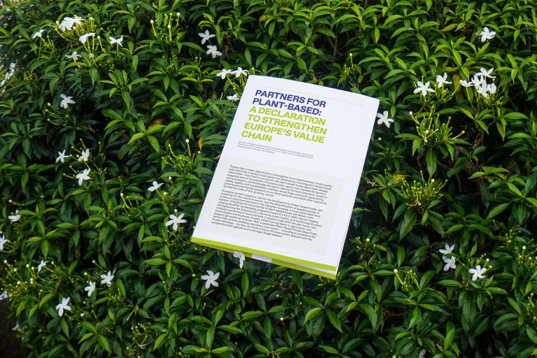 declaration mockup leaflet